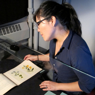 Digital Imaging - Bound Materials
