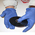 Gloves should be worn when salvaging collections. Nitrile gloves, shown here, can be worn by people allergic to latex.