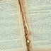 The darkened outer edges of this text block indicate exposure to pollutants when the book was stored closed on the shelf.